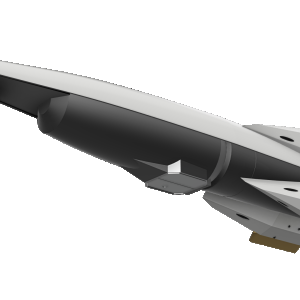 AU-Steward-underside.png