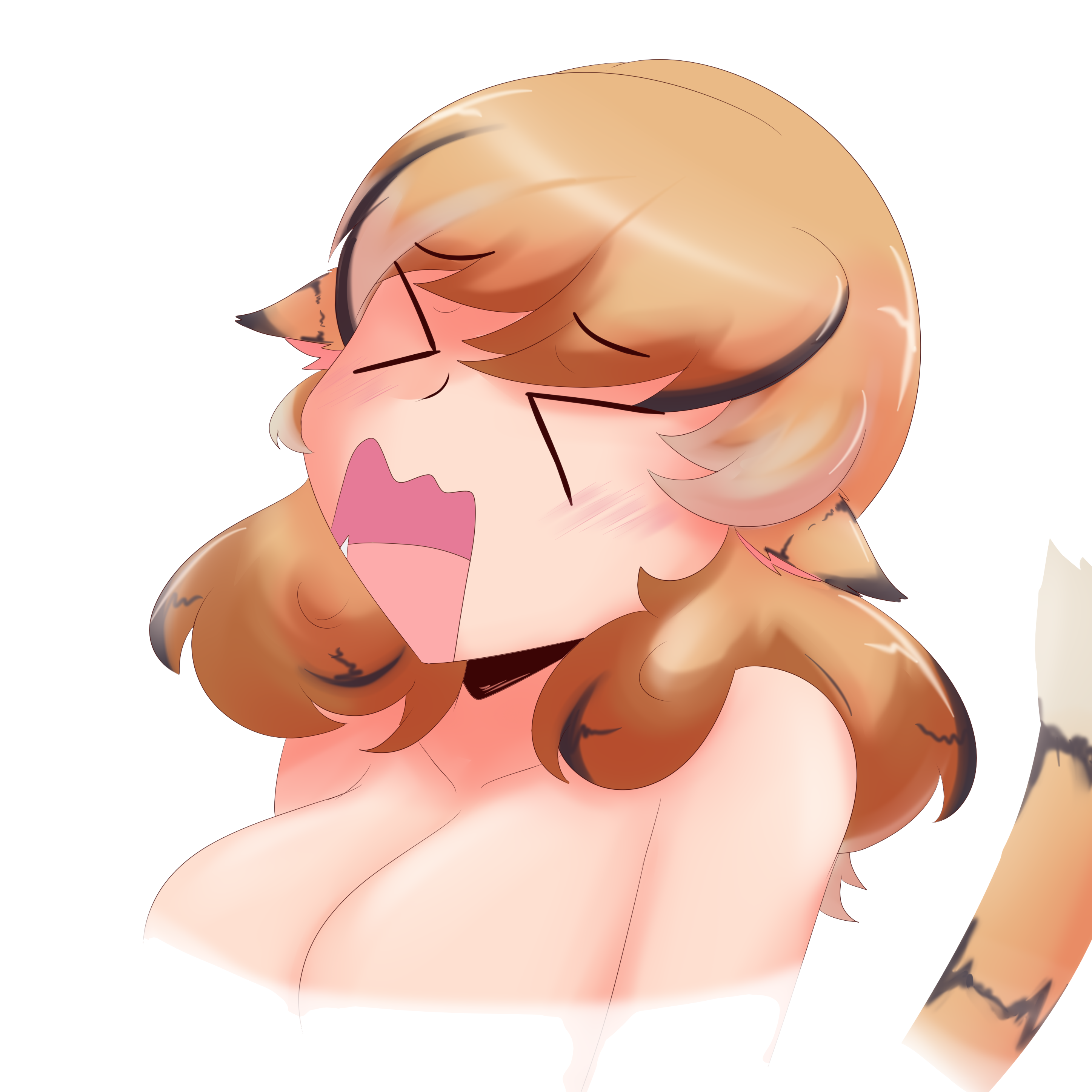 Korui Hoshiko Expression 7.01 Bryan Spotty.png